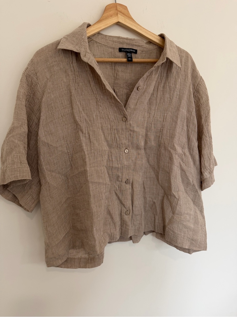 Eileen Fisher Beige-Taupe Linen Button-Front Shirt - Picture 2 of 6